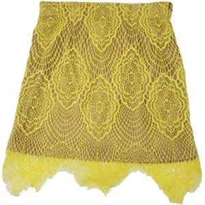 San  Joy Lace Skirt with Nude Lining